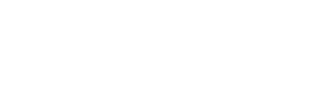safir-logo-white.png